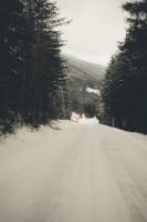 Everly MBOYA LOUBASSOU - The pictures by everly